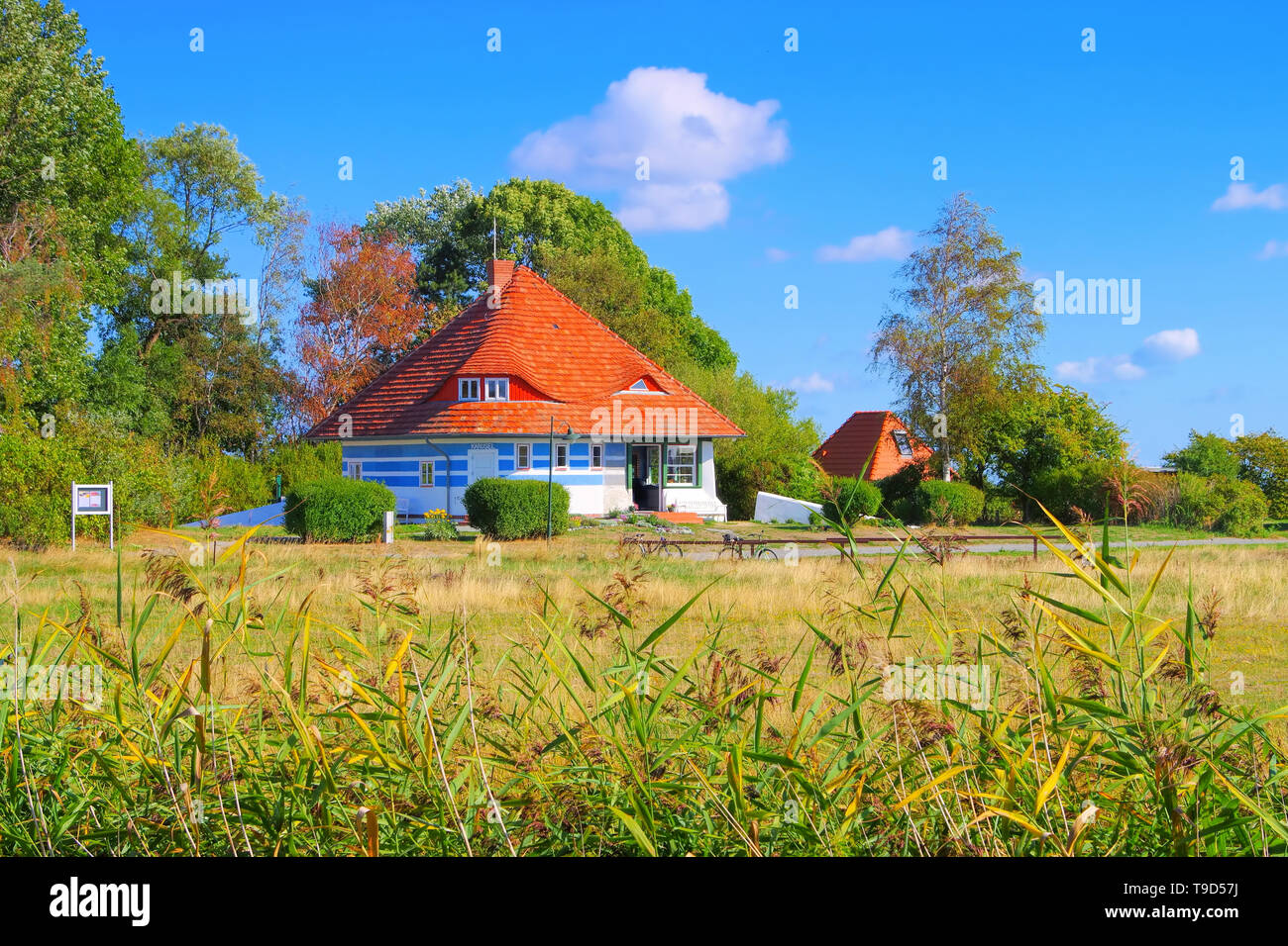Asta Nielsen Stock Photos Asta Nielsen Stock Images Alamy