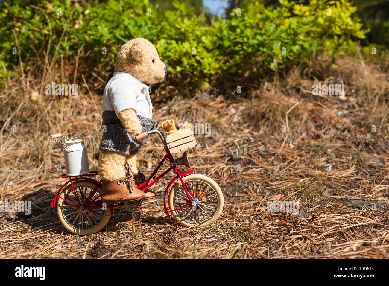 motorbike teddy