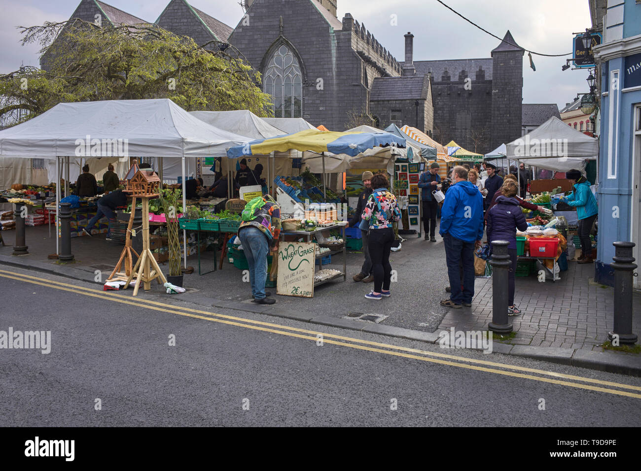 The Saturday market in the centre of Galway, Ireland Stock Photo Alamy