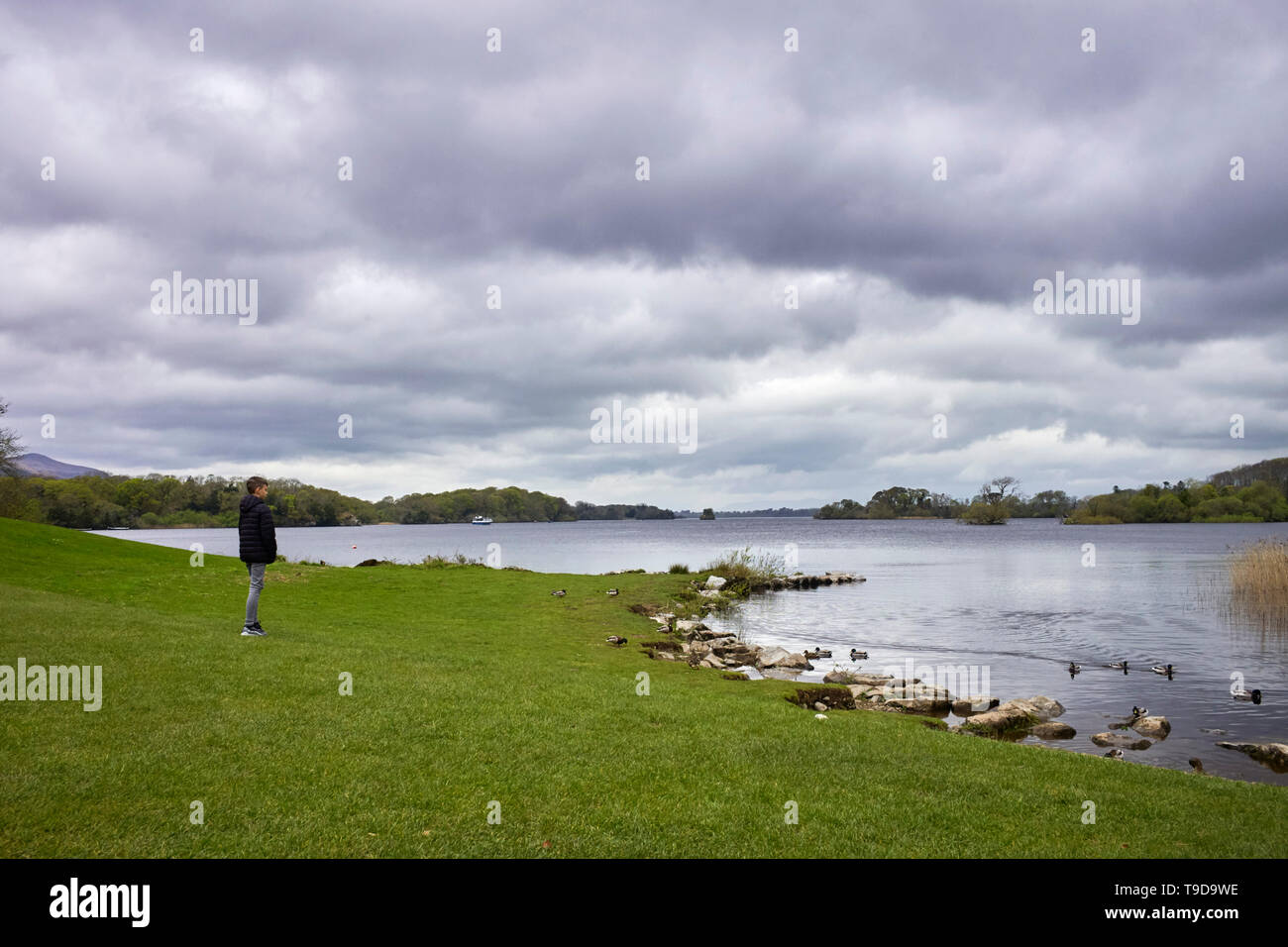 A boy looking at the Lough Leane in Killarney, Ireland Stock Photo