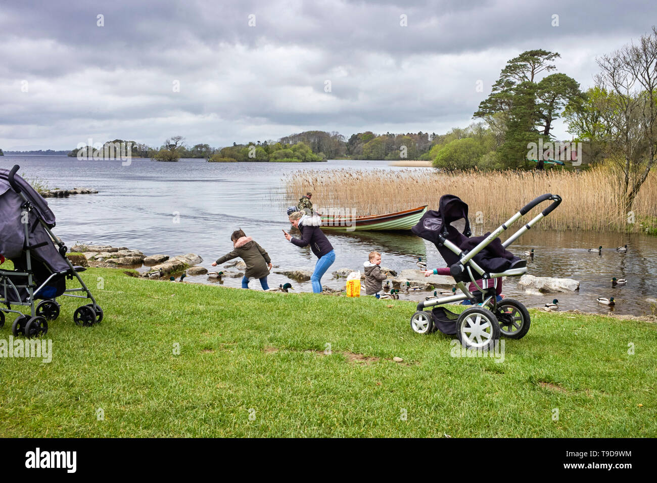 A fisherman in a boat passing young mothers and children feeding ducks in Lough Leane, Killarney, Ireland Stock Photo