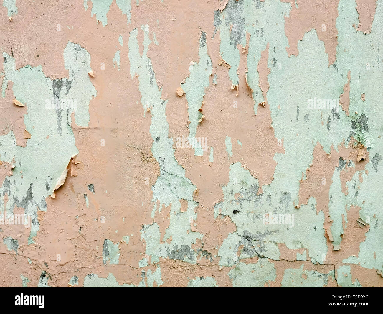 Old painted peach wall background Stock Photo