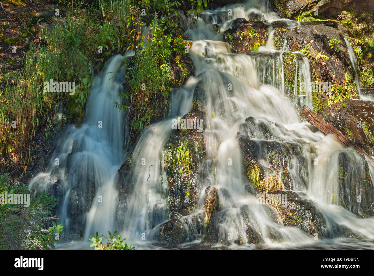 Waterfalls on Crow Lake (Kakagi Lake) Nestor Falls Ontario Canada Stock