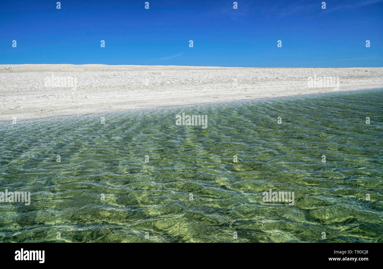 Shell Beach with endless white stretch of beach composed of billions of coquina bivalve shells Stock Photo