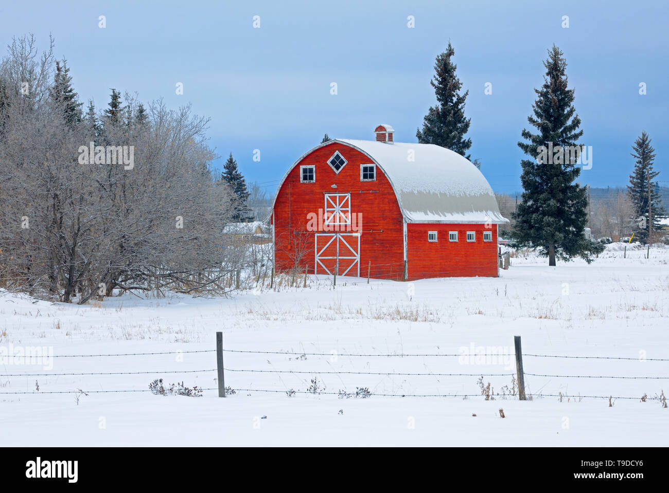 Red barn in winter Meath Park Saskatchewan Canada Stock Photo