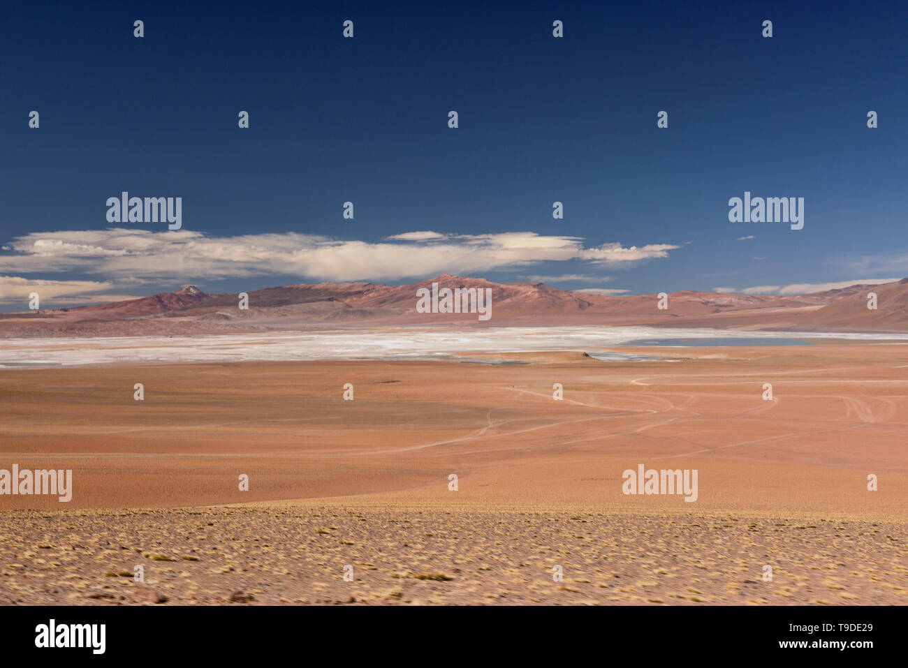 Beautiful valley, Salar de Uyuni, Bolivia Stock Photo