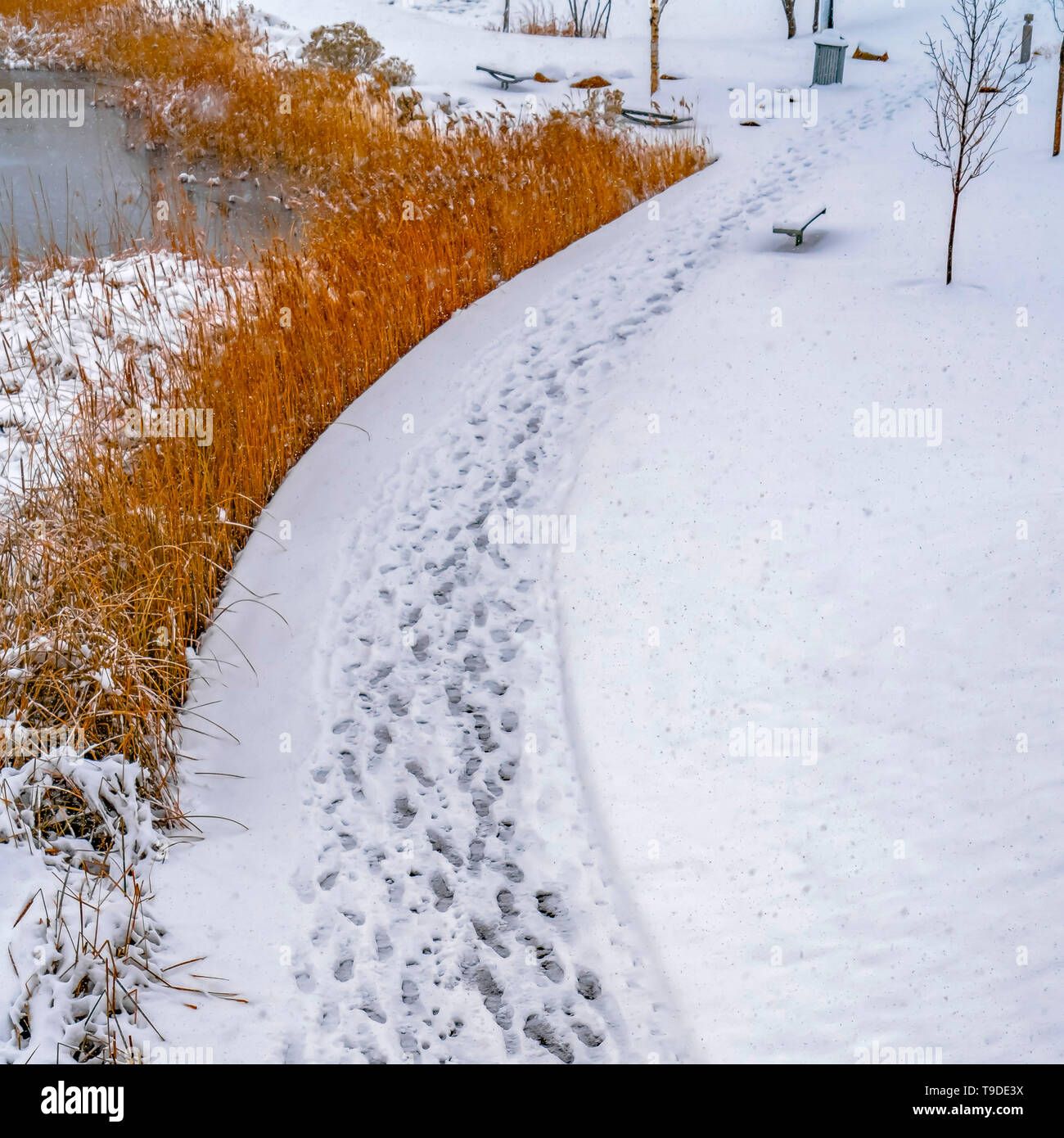 Square Tracks on snowy Oquirrh Lake trail in Daybreak Stock Photo Alamy