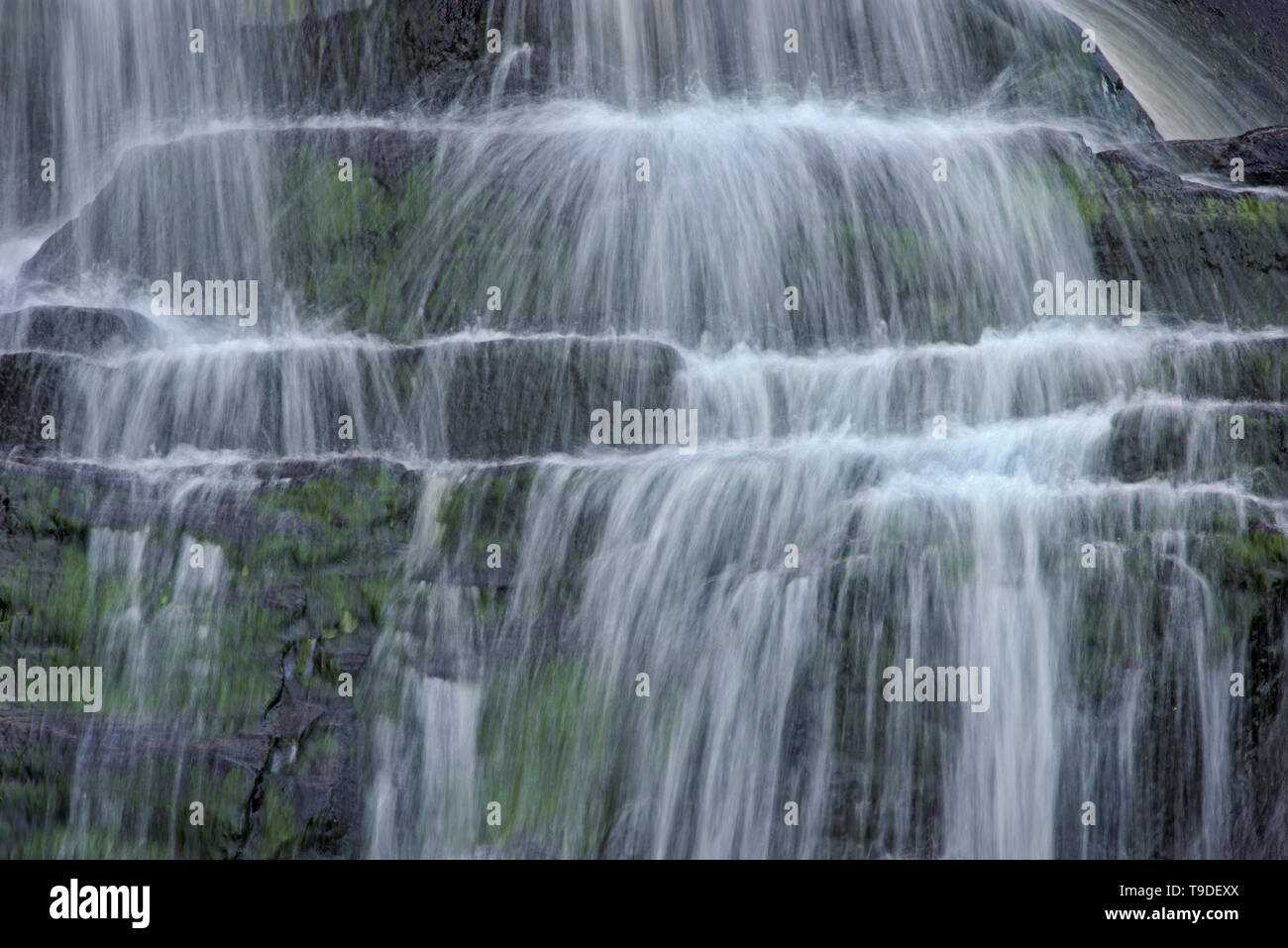 This is a provincial parc, not a true federal park. Parc national du