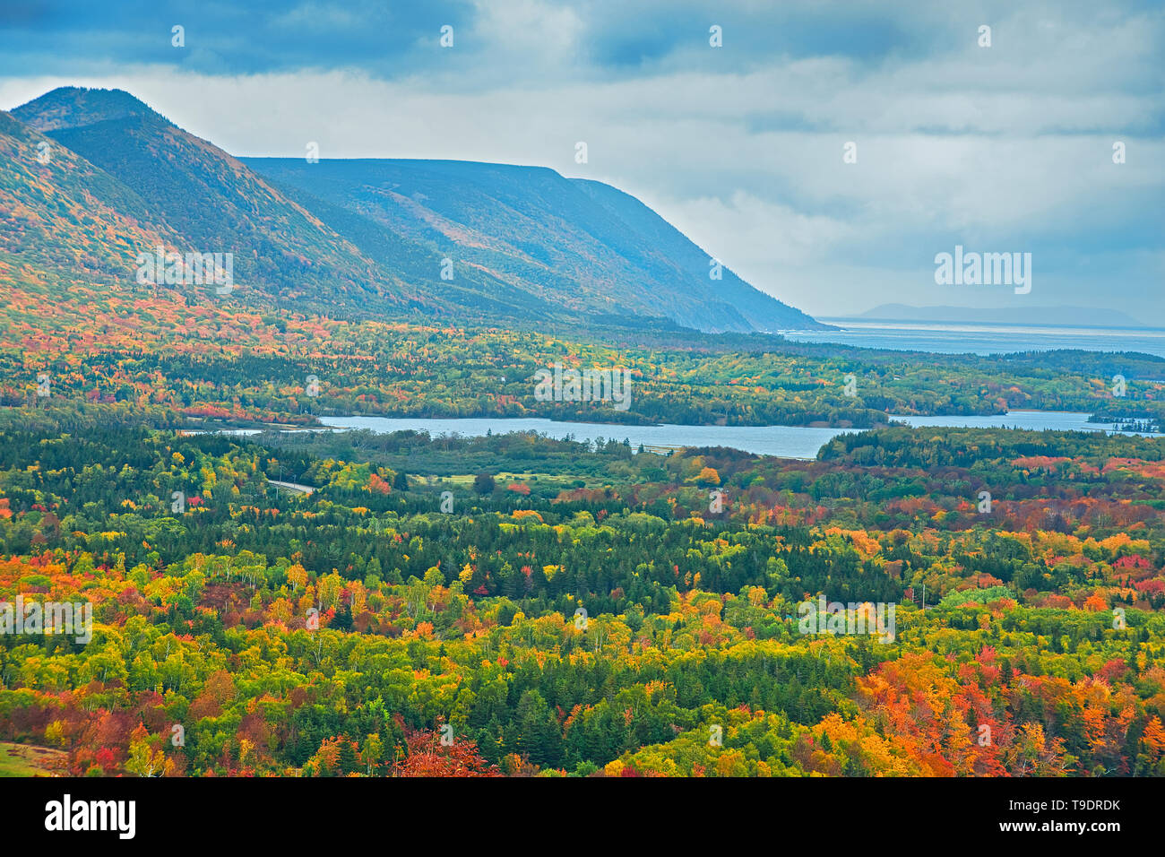 Acadian forest in autumn foliage Cape Breton Highlands National Park ...