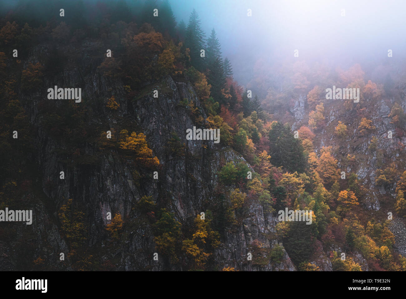 Foggy mountain landscape rocky hi-res stock photography and images - Alamy