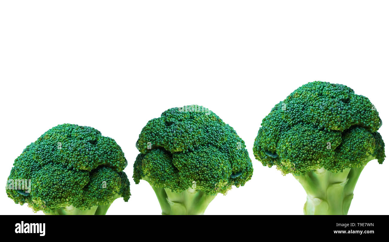 three Broccoli isolated on white background. Fresh ripe vegetables ...