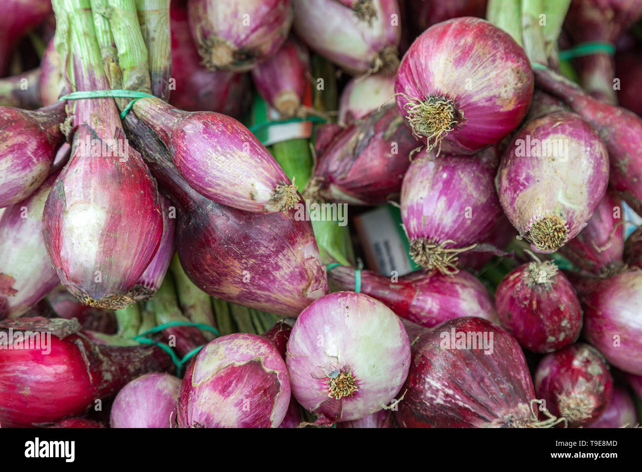 The sweet red onion of tropea hi-res stock photography and images - Alamy