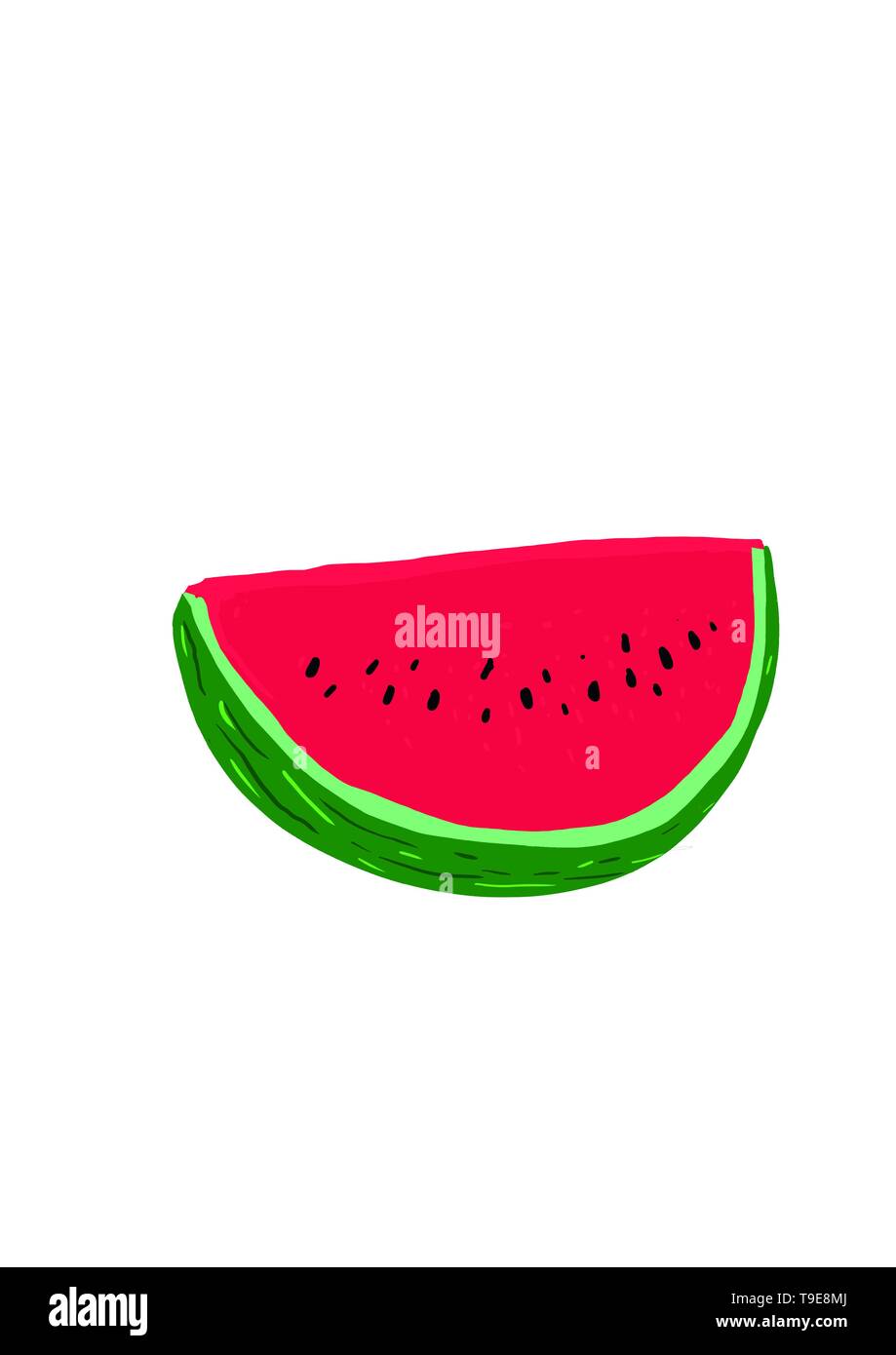 melon- illustration Stock Photo