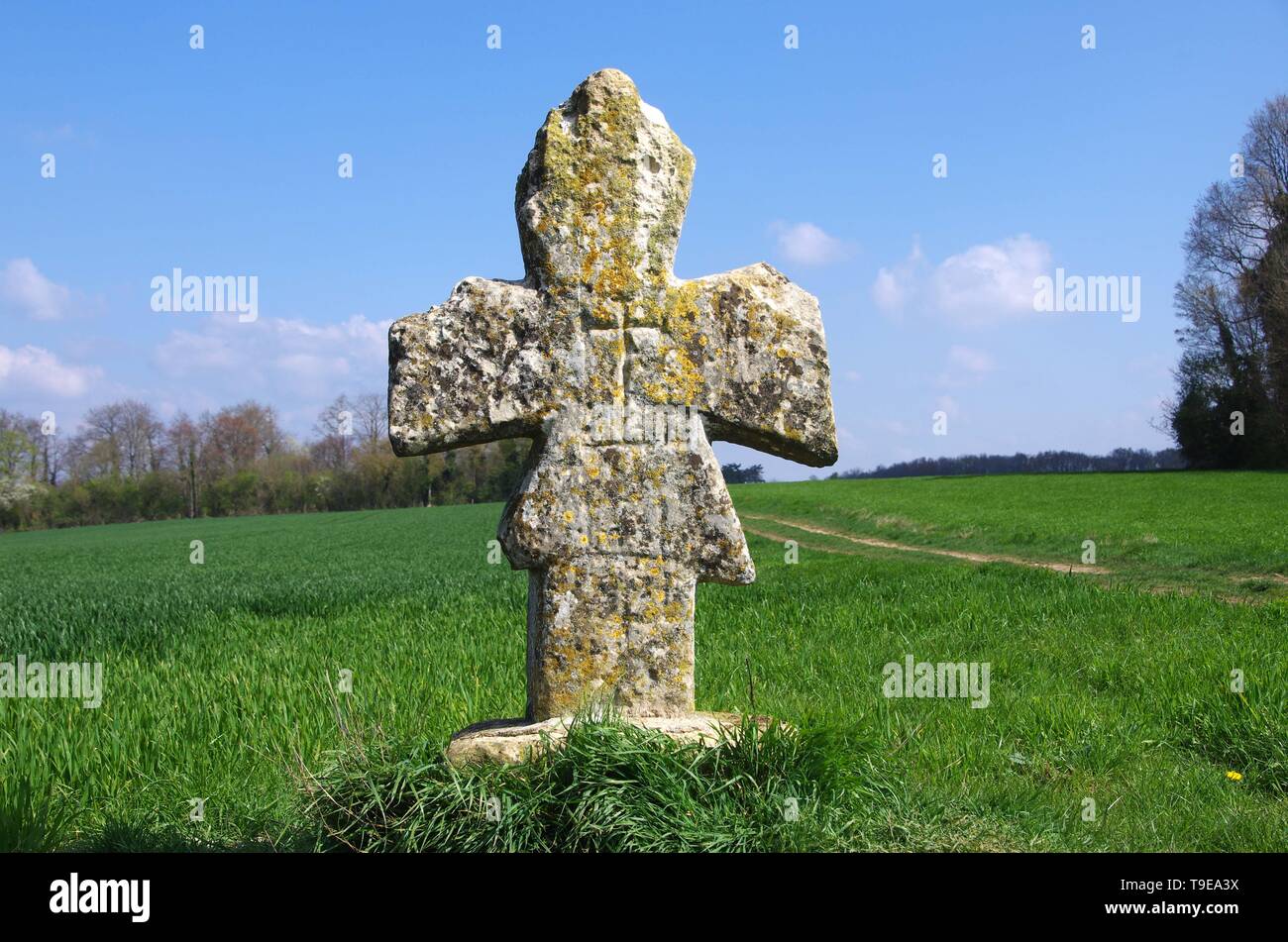 Cross pattee hi-res stock photography and images - Alamy