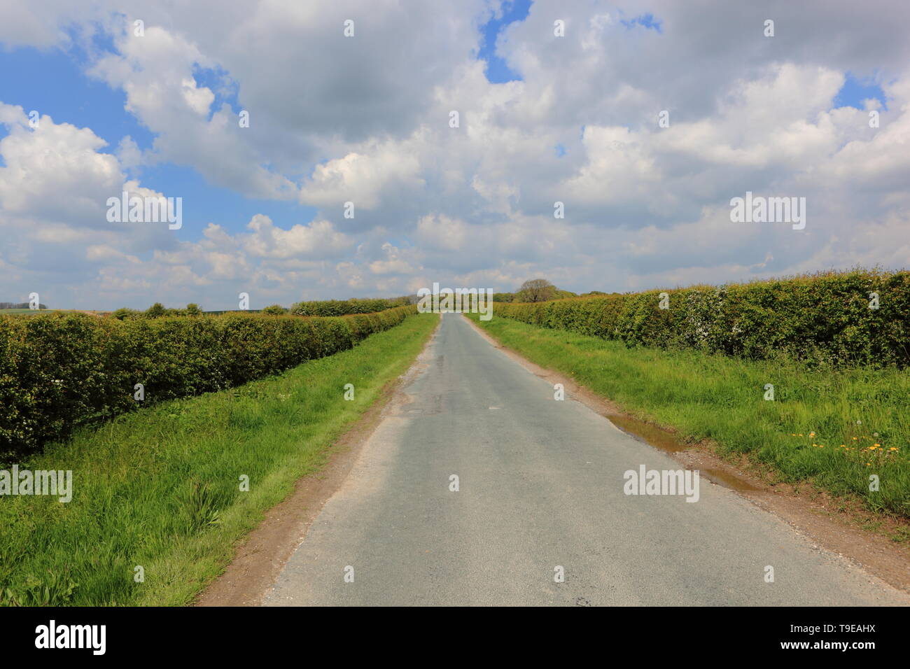 Verges High Resolution Stock Photography and Images - Alamy