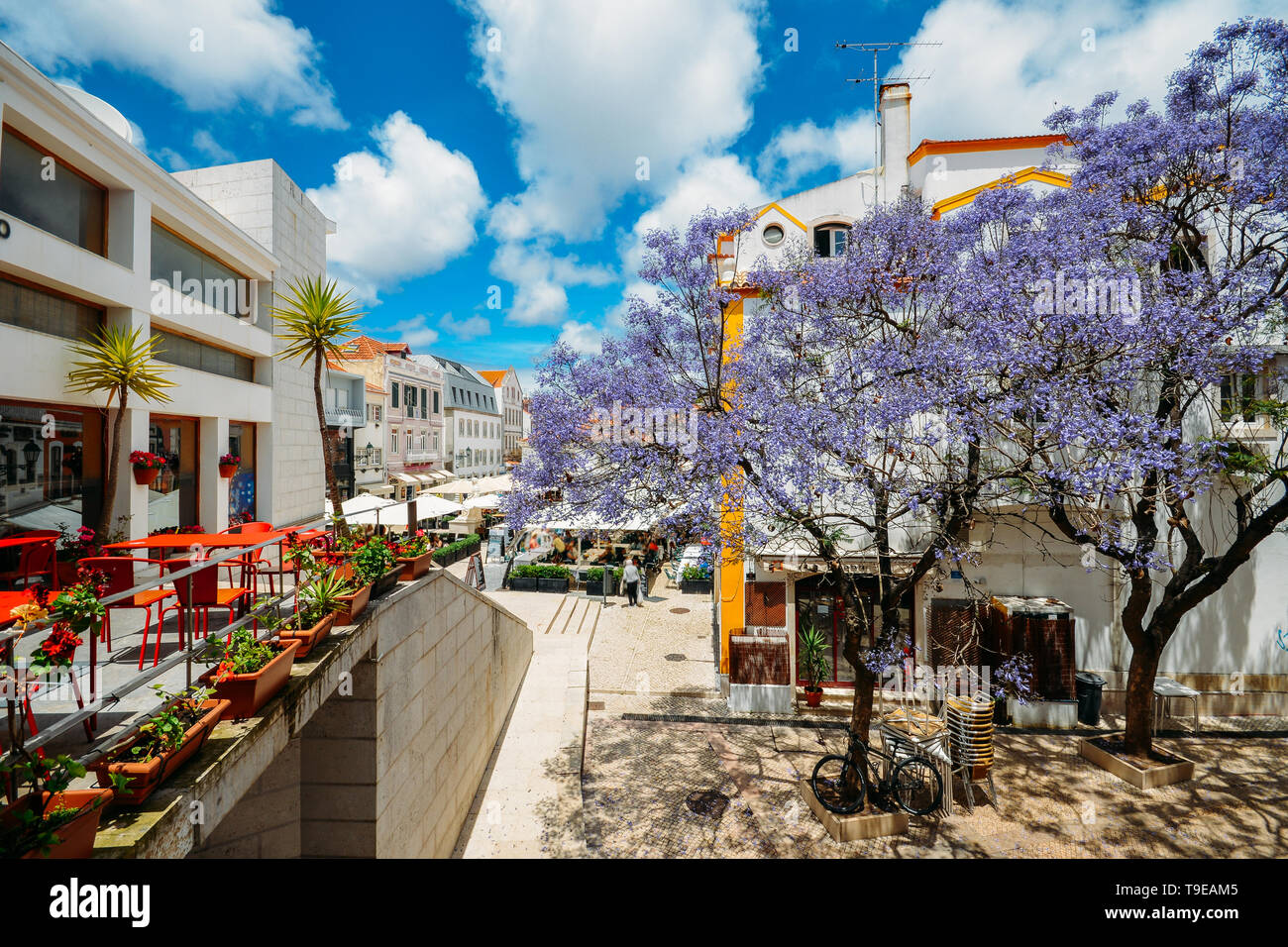 Busy touristic restaurants and bars with traditional Portuguese architecture and blue Jacaranda