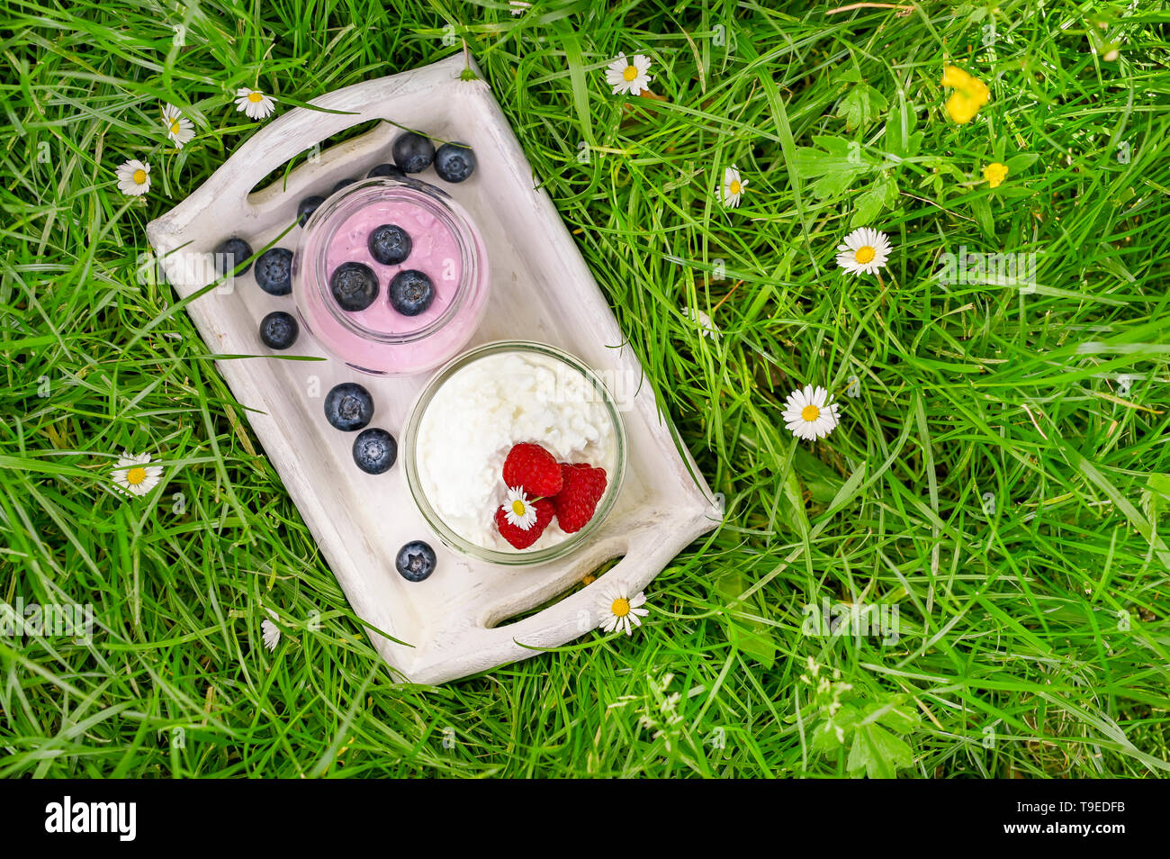 Yogurt And Blueberries And Raspberries In The Garden On The Green