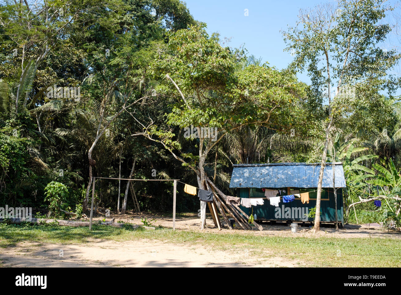 Local house at Lake Sandoval area in Peruvian Amazon Basin, Peru Stock ...