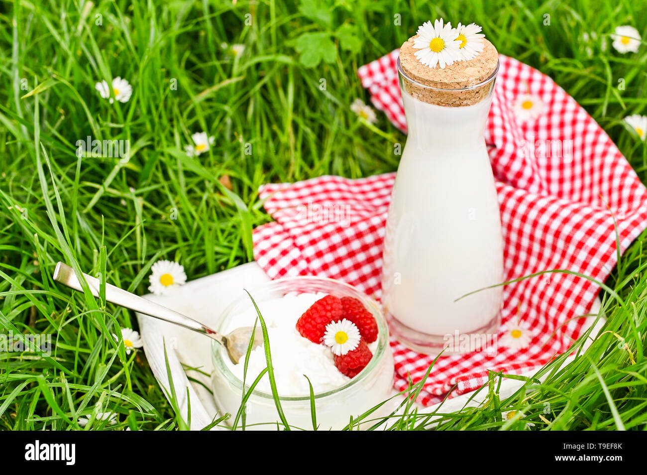 Bottle Of Milk And Cottage Cheese In A Jar Of Maoini Berries On