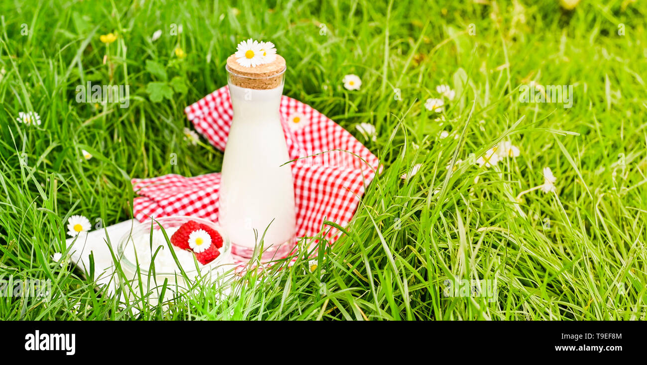 Bottle Of Milk And Cottage Cheese In A Jar Of Maoini Berries On
