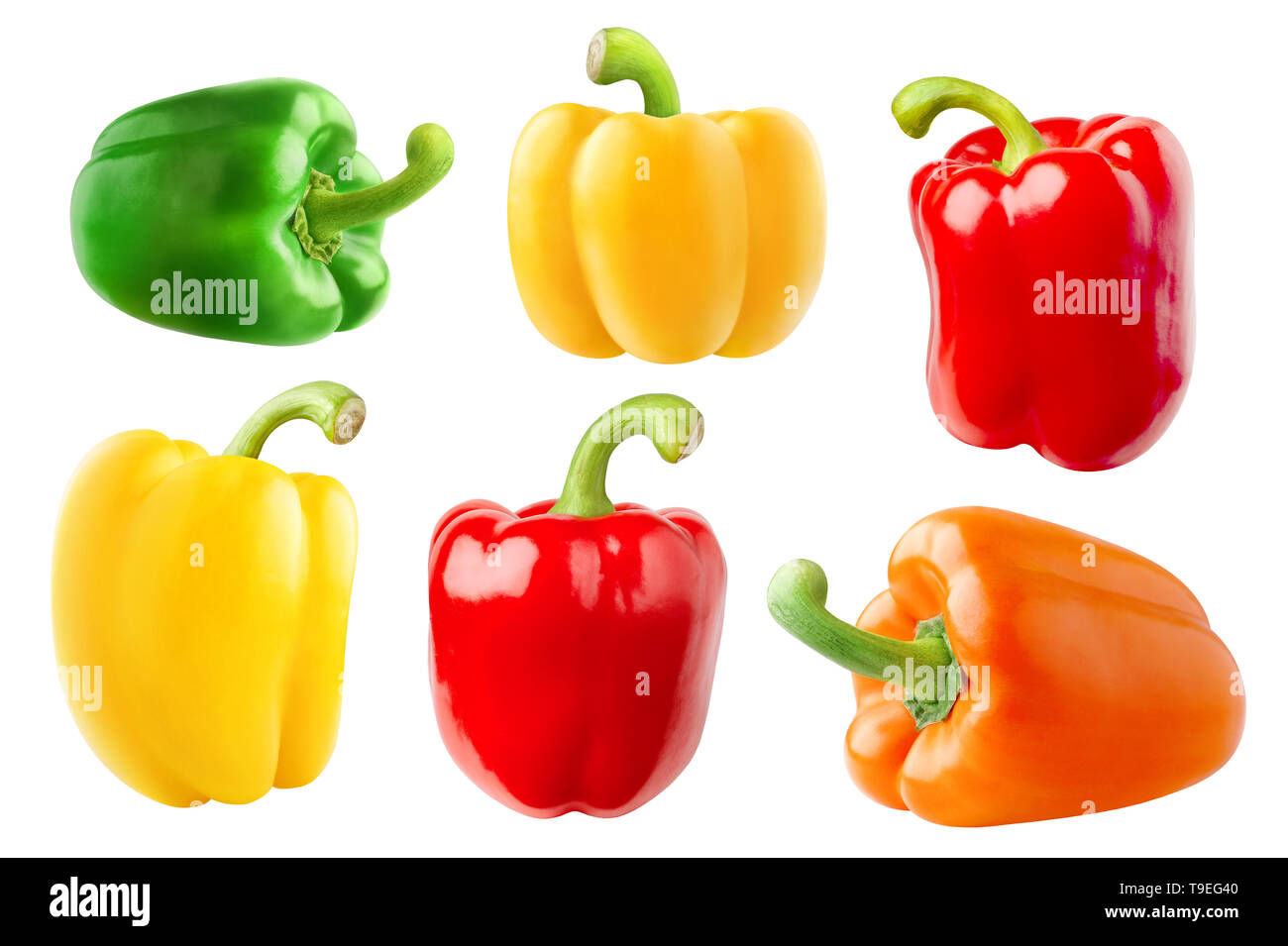 Isolated peppers. Collection of bell peppers different in shape and