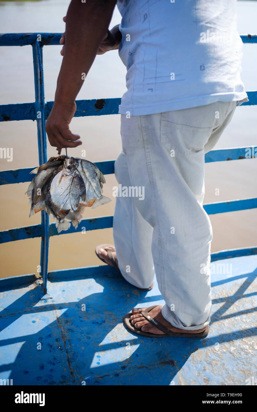 Local man carrying a bunch of fish called palometas and caught in the river on the ferry that goes from Yurimaguas to Iquitos, Loreto Department, Peru Stock Photo