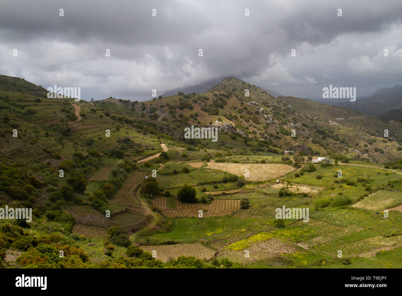 Small-scale arable farming in the hills of Crete near Melambes Stock Photo