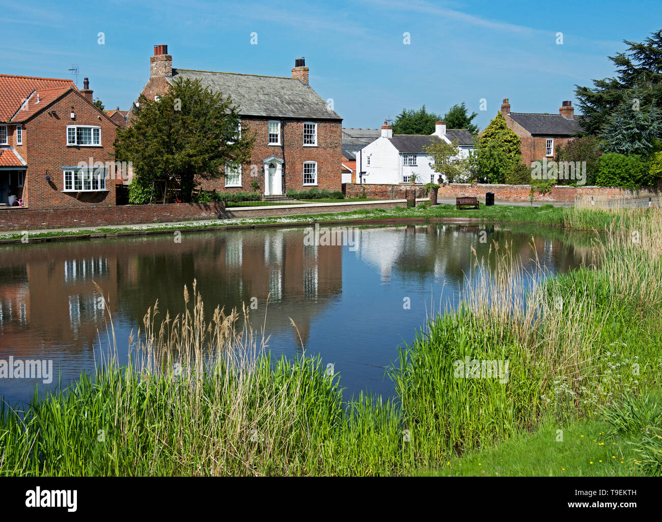 The village pond in Askham Richard, North Yorkshire, England UK Stock Photo