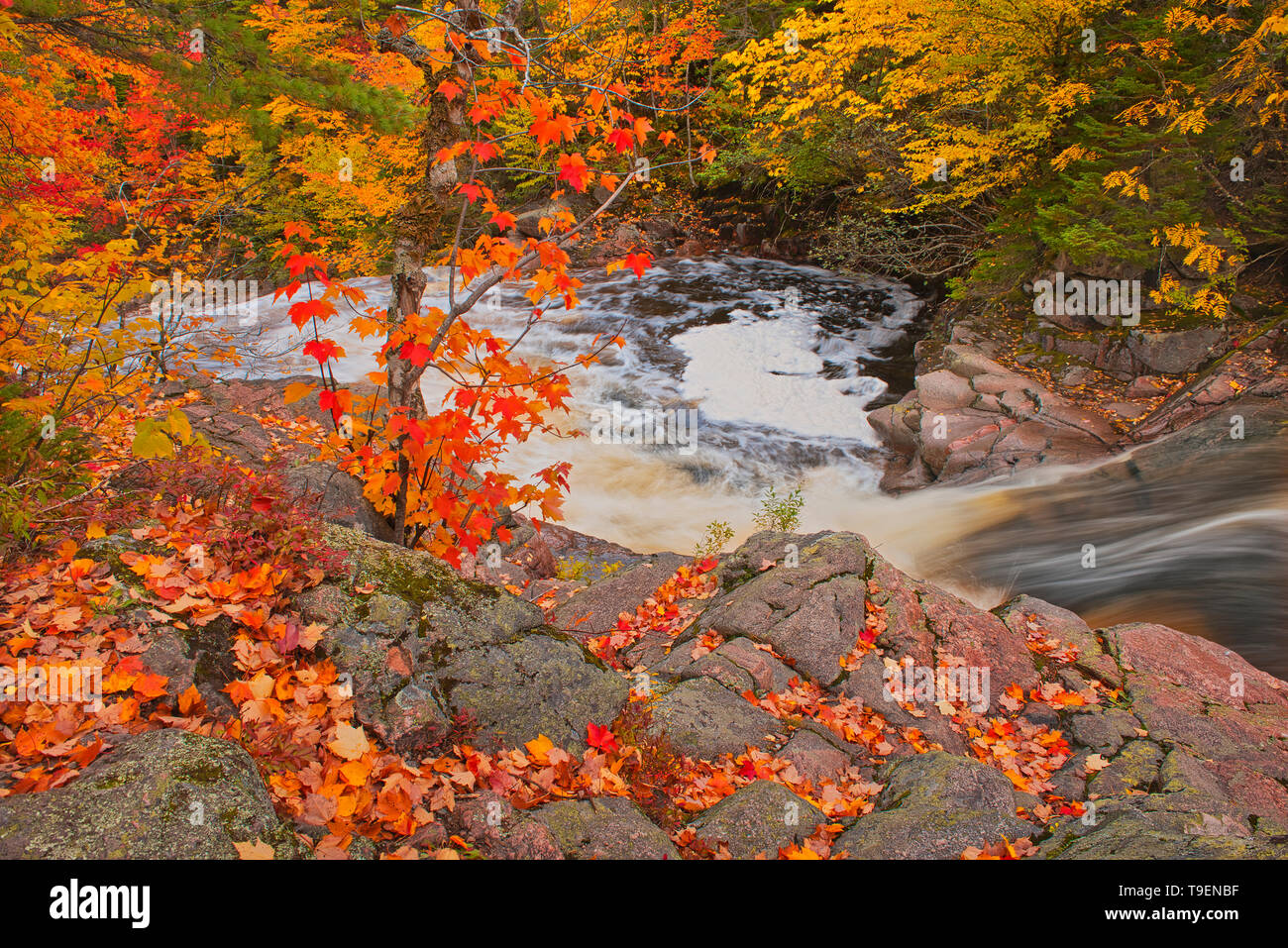 Mary-Anne Falls in the Acadian forest in autumn foliage  Cape Breton Highlands National Park Nova Scotia Canada Stock Photo