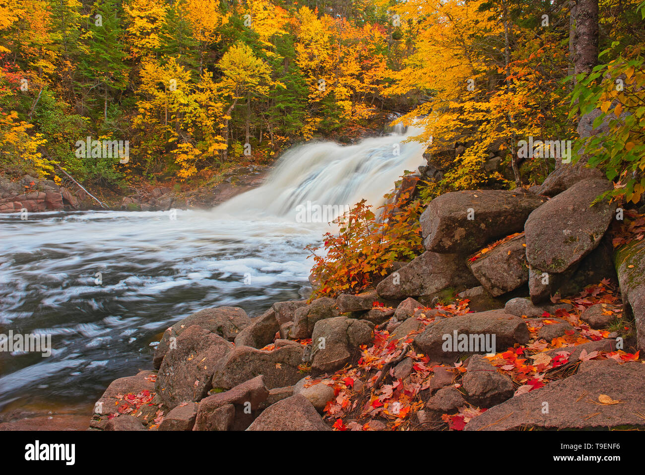 Mary-Anne Falls in the Acadian forest in autumn foliage Cape Breton ...