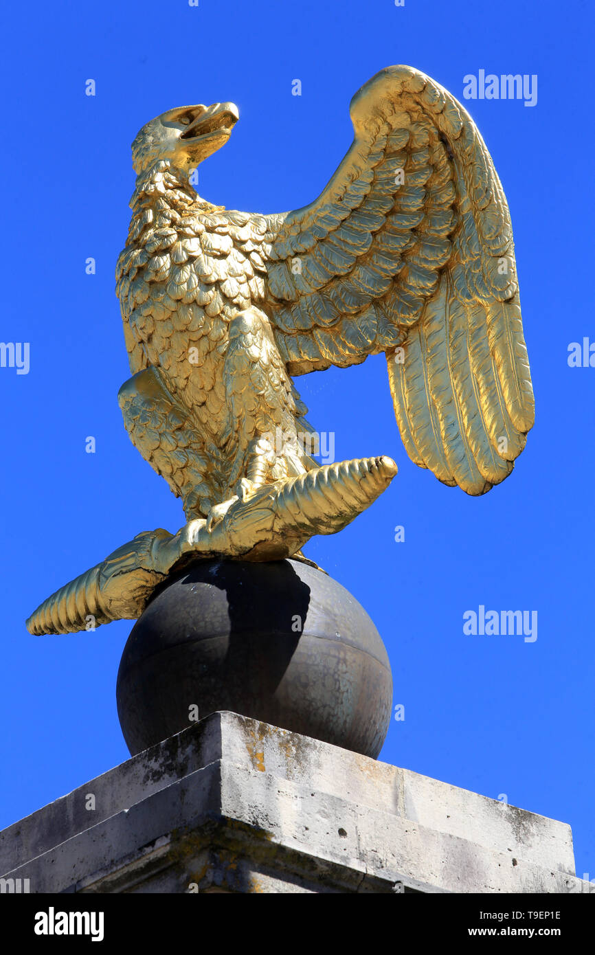 Royal Eagle High Resolution Stock Photography And Images Alamy