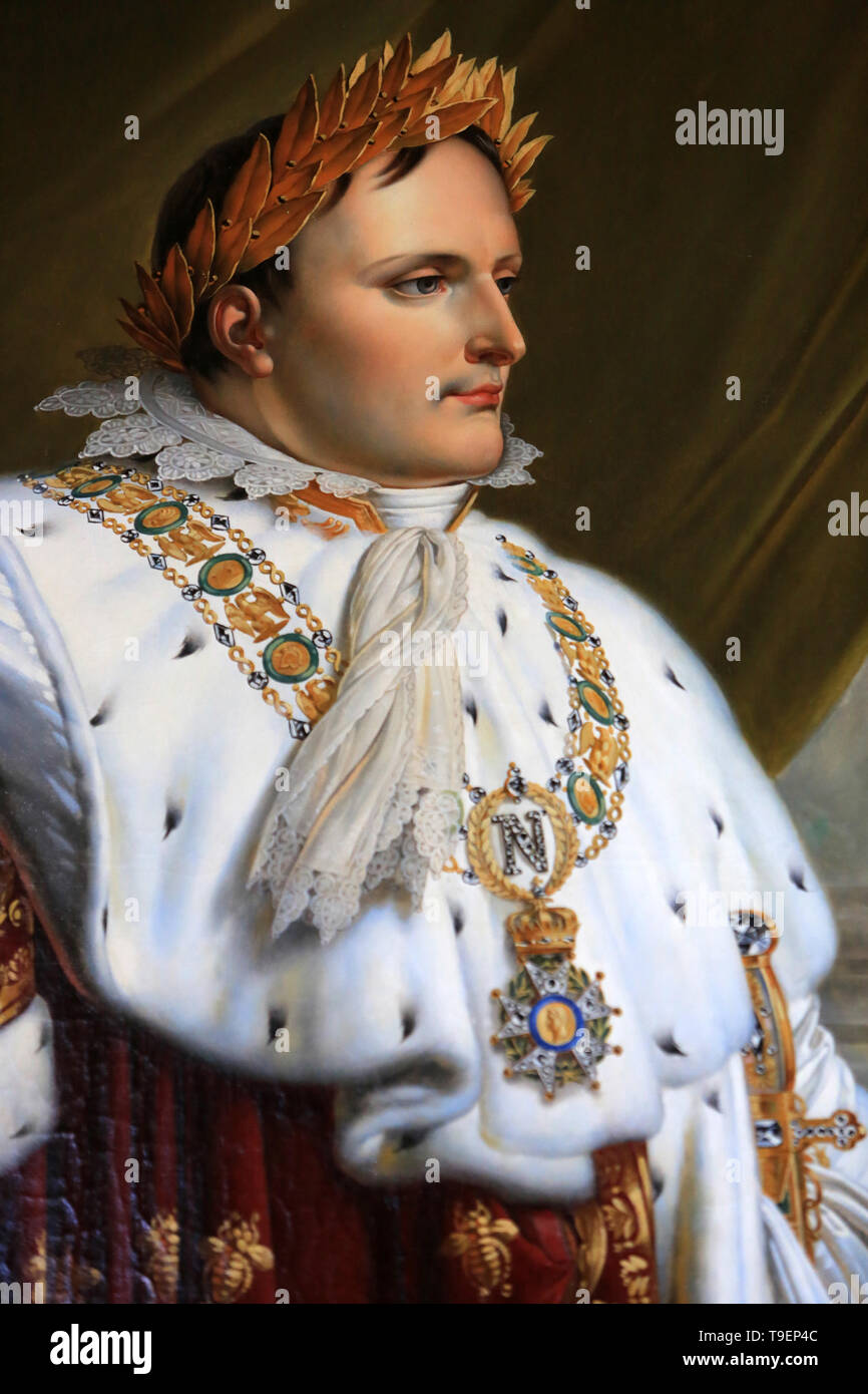 Napoléon 1er en législateur. Portrait par Anne-Louis Girodet de Roussy-Trioson. Château de Fontainebleau. Stock Photo