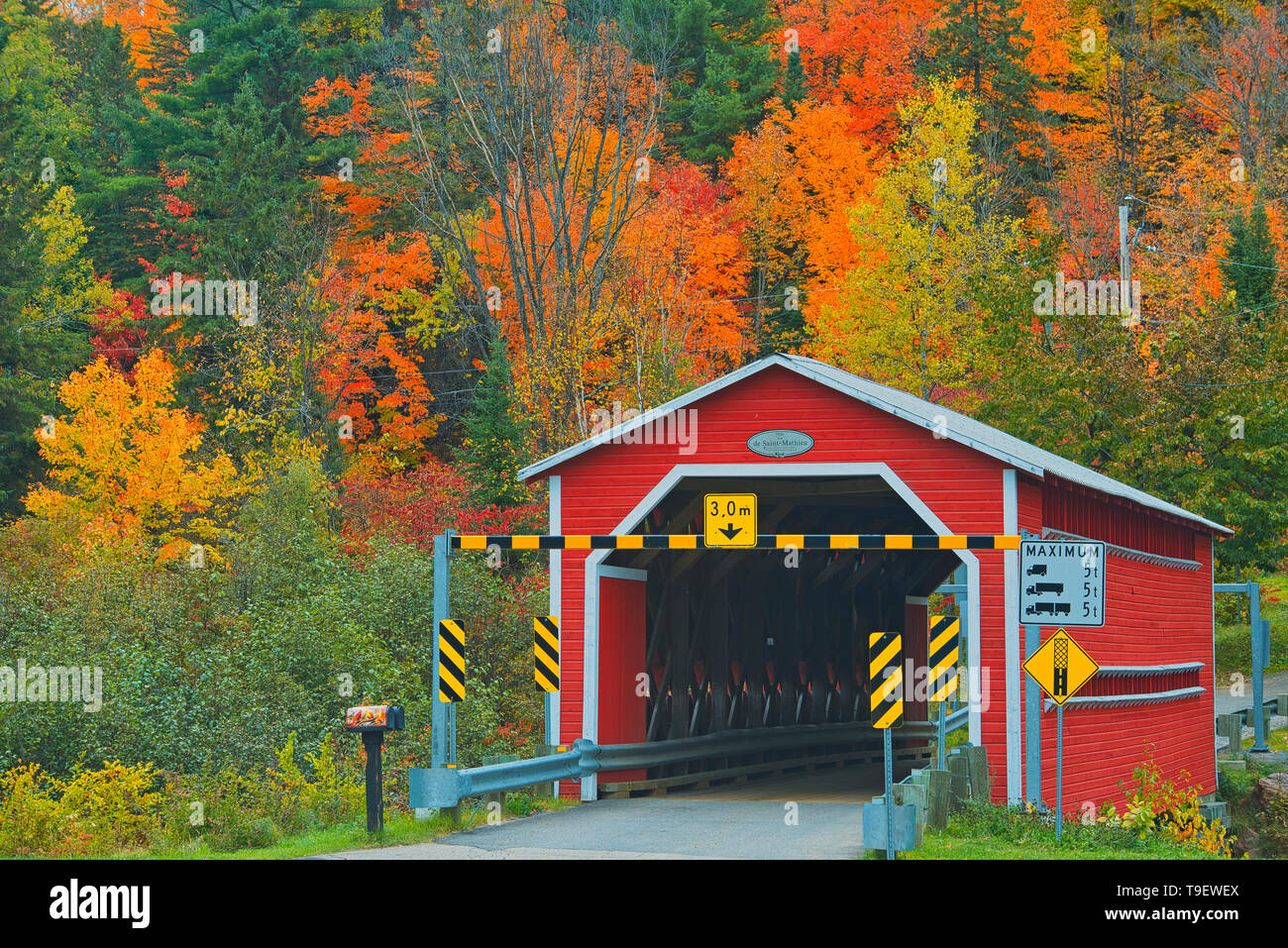 Covered bridge (pont couvert)  de Saint-Mathieu over the Shawinigan River, Autumn  colors, Great Lakes - St. Lawrence Forest Region, Saint-Mathieu-du-Parc, Quebec, Canada Stock Photo