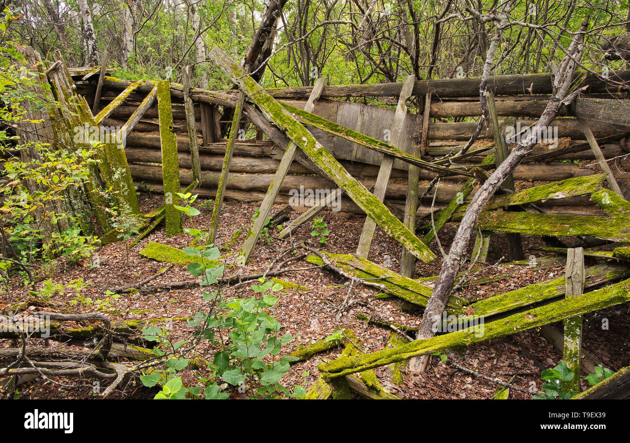 Old pioneer house Baljennie Saskatchewan Canada Stock Photo Alamy