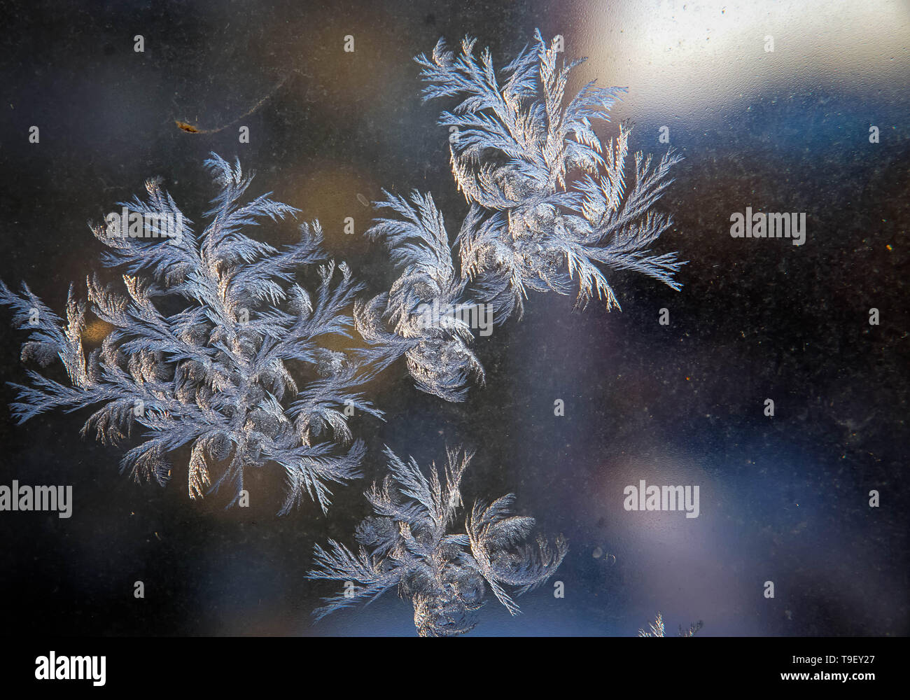 Frosty natural pattern on winter window Stock Photo - Alamy