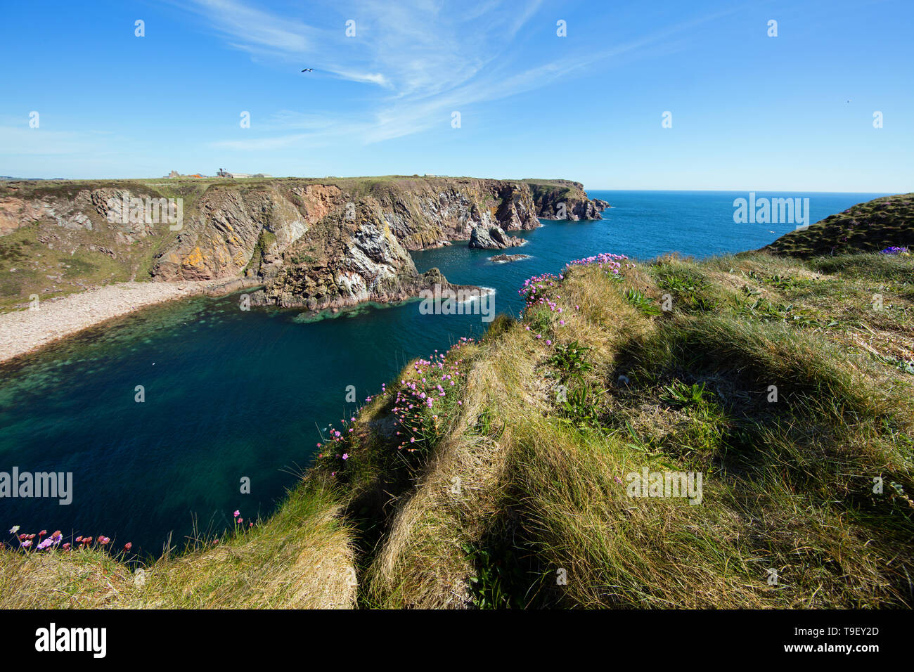 Bullers of Buchan, seacliffs, arch and geo, with nesting birds. Stock Photo