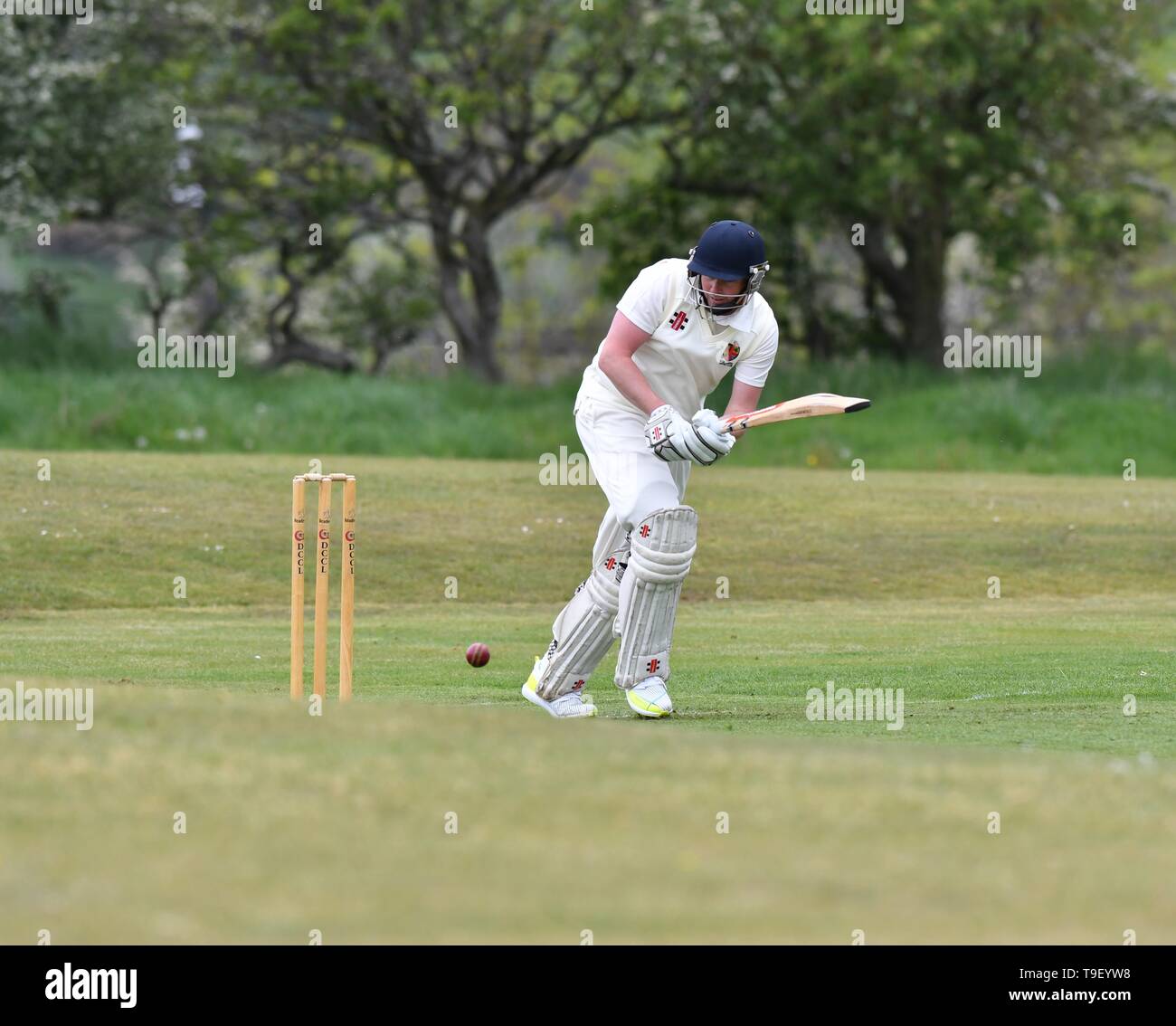 A batsman in action during the Derbyshire and Cheshire League match between Birch Vale and Thornsett, and Hazel Grove. Stock Photo