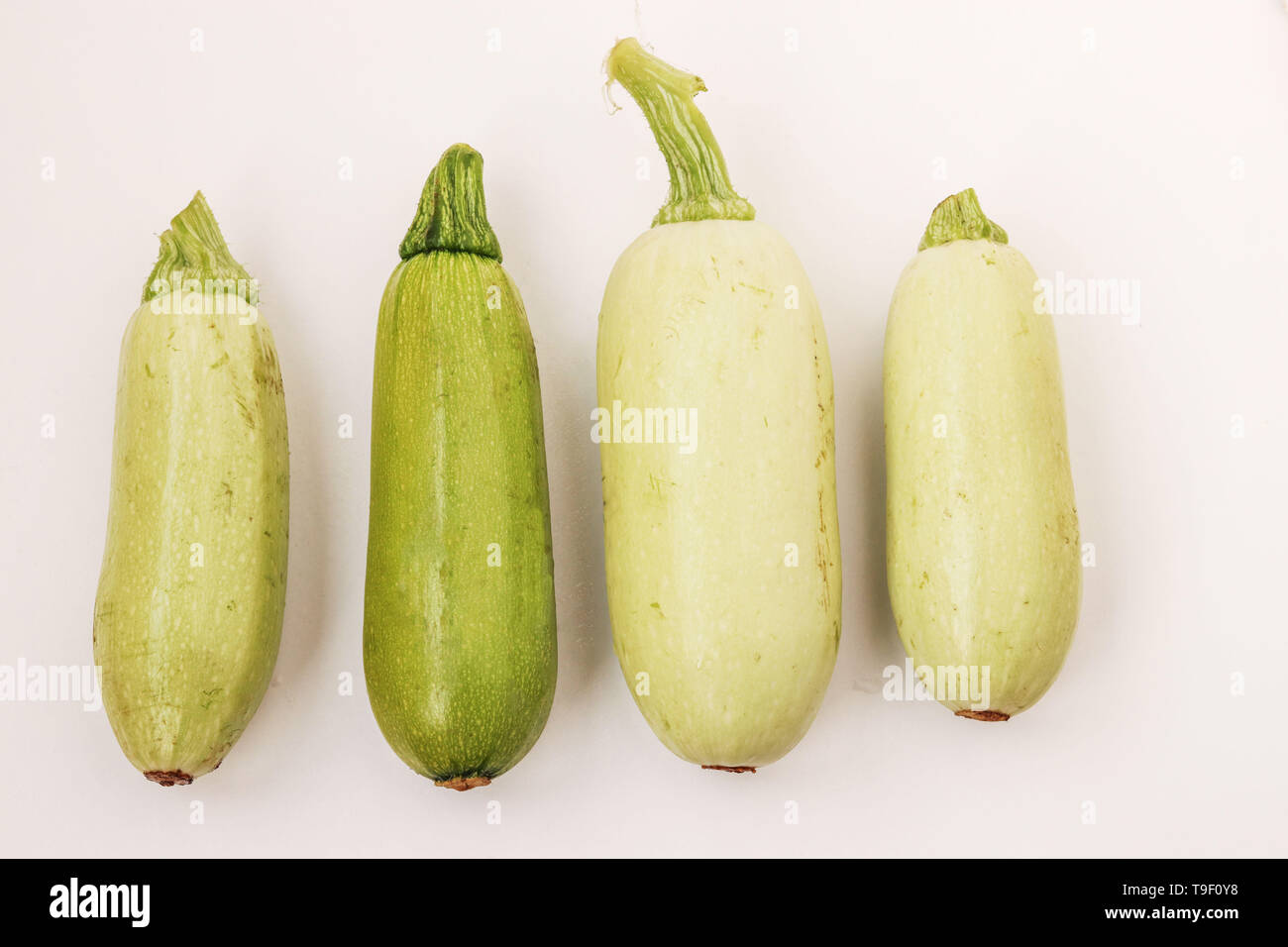 Courgettes arranged on a white background in random order, top view, horizontal orientation, top view Stock Photo