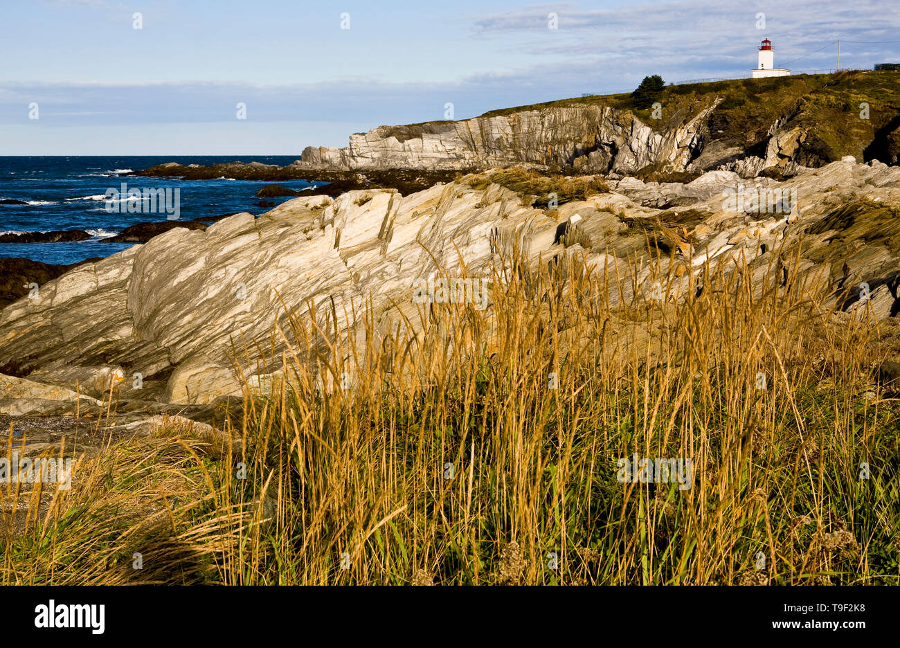 Cape St. Mary's, Nova Scotia, Canada Stock Photo