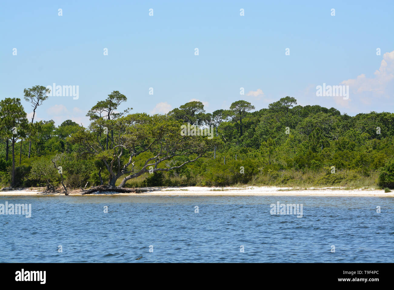 The coast of Gulf Breeze in Santa Rosa County Florida on the Gulf of 