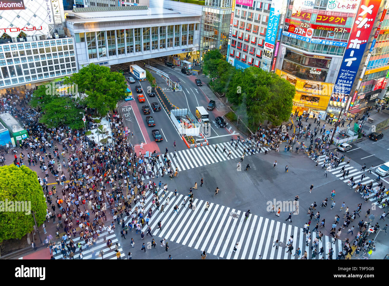 Shibuya Station Crossing View High Resolution Stock Photography And Images Alamy