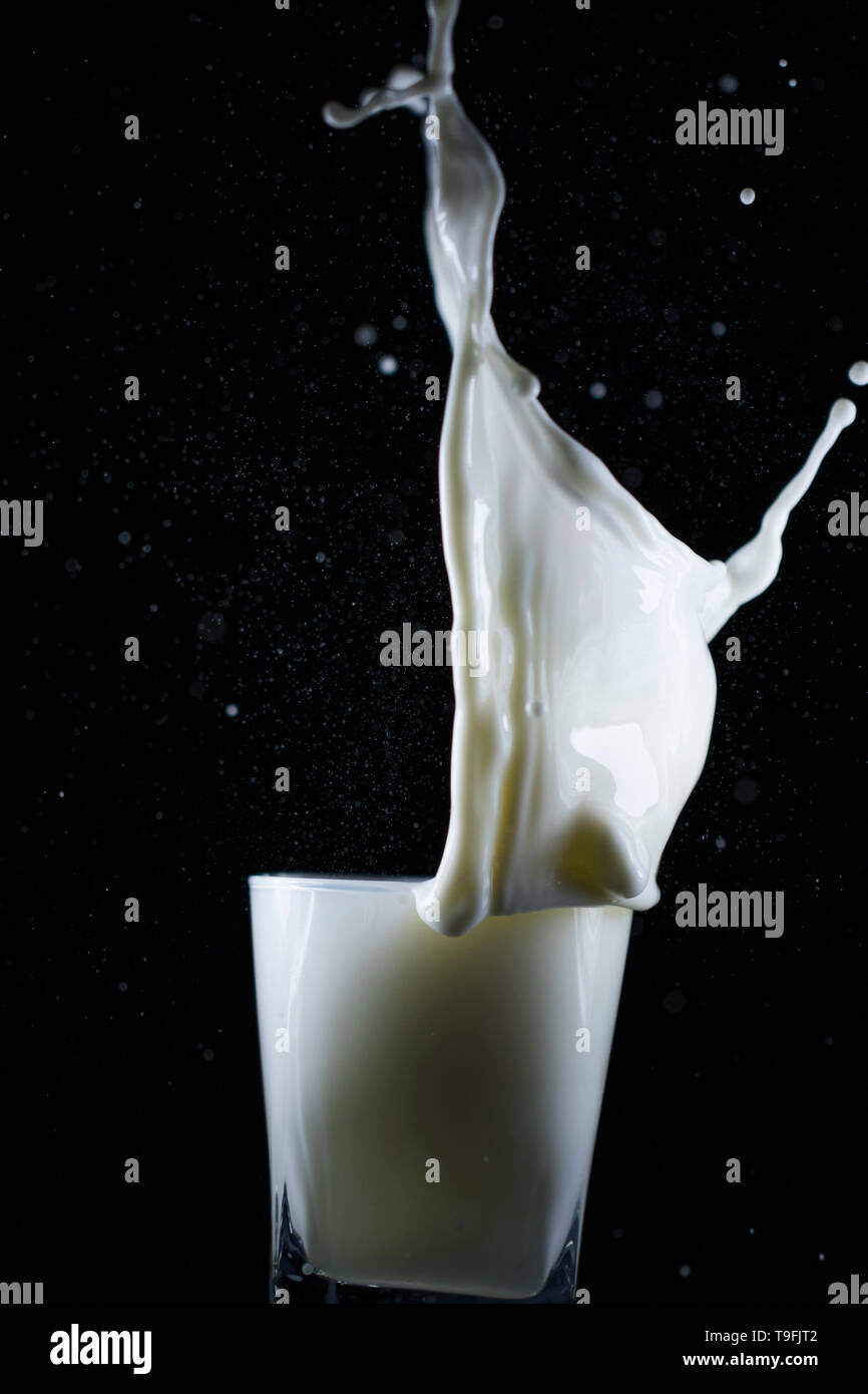 Dramatic messy wave of milk splashing out of a glass. Cool and refreshing liquid splattering out of a glass. Stock Photo