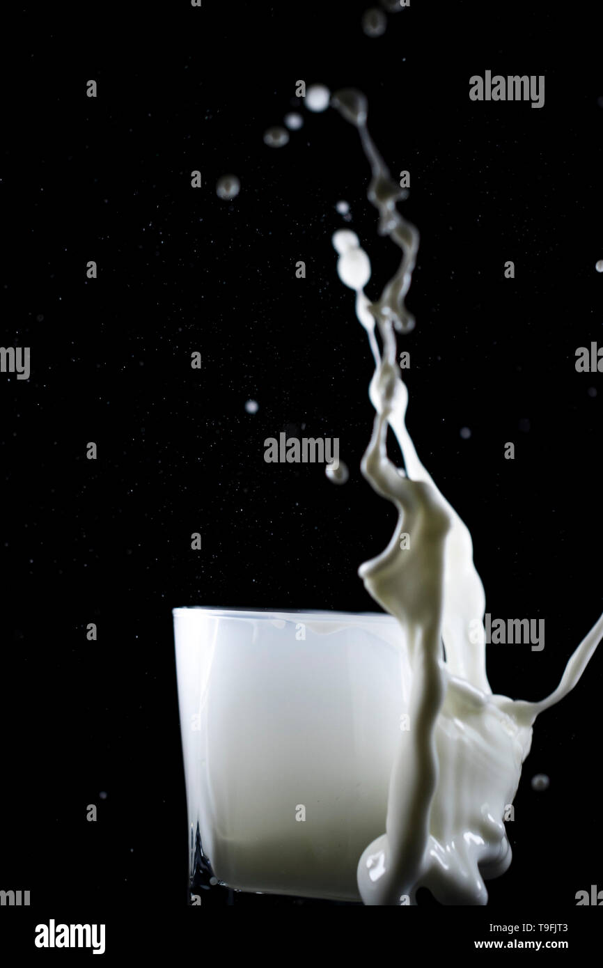 Wave of fresh white milk flowing up and out of a glass. Fresh milk spraying up on black background. Dripping and messy dairy beverage. Stock Photo