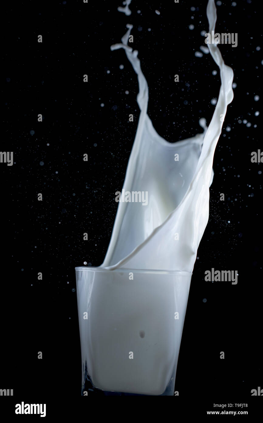 Milk splashing out of a clear glass. Big splash of spilled milk against black background. Wave of liquid. Stock Photo
