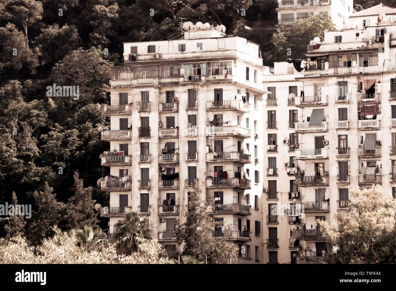 Algeria people city hires stock photography and images Alamy