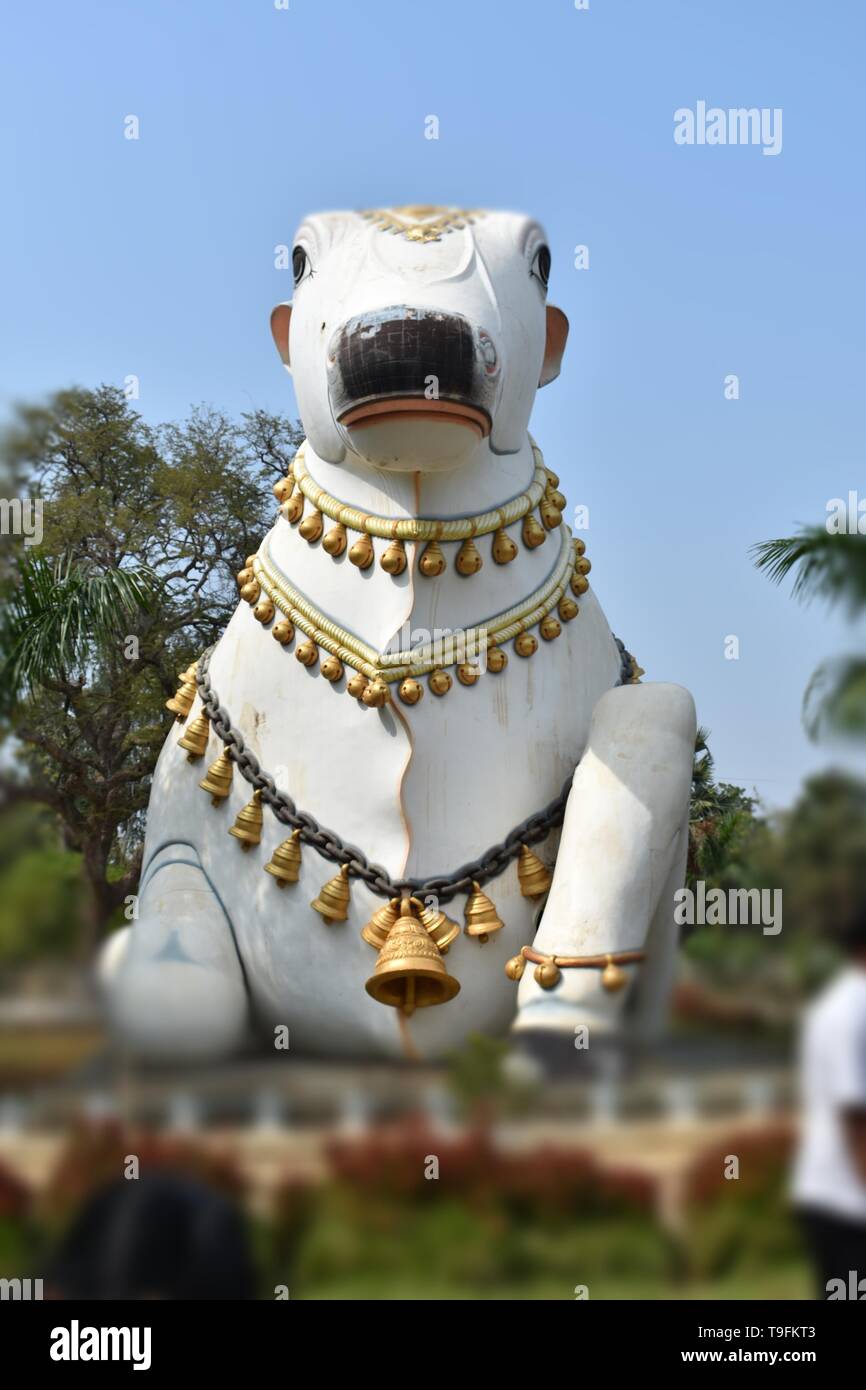 Nandi-Companion of Lard Siva at place of Mahanandi in India, Andhra Pradesh Stock Photo