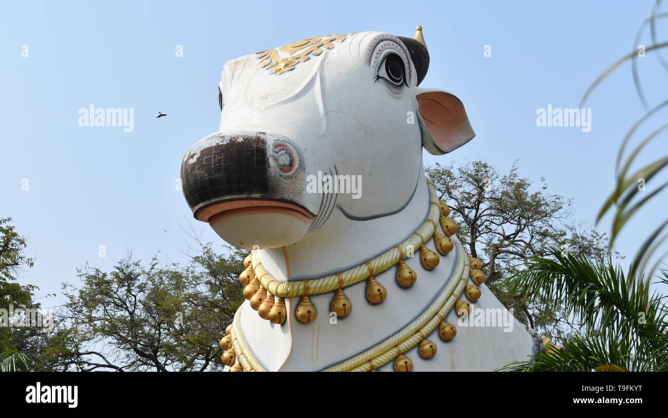 Nandi companion of lard siva at place of mahanandi in india hires