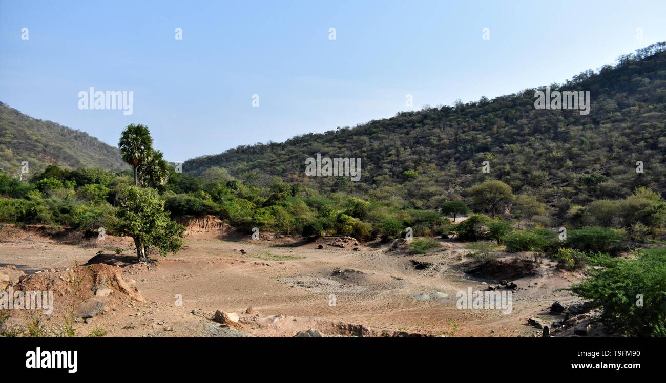 Landscape with Mountain, Sky and trees Stock Photo - Alamy