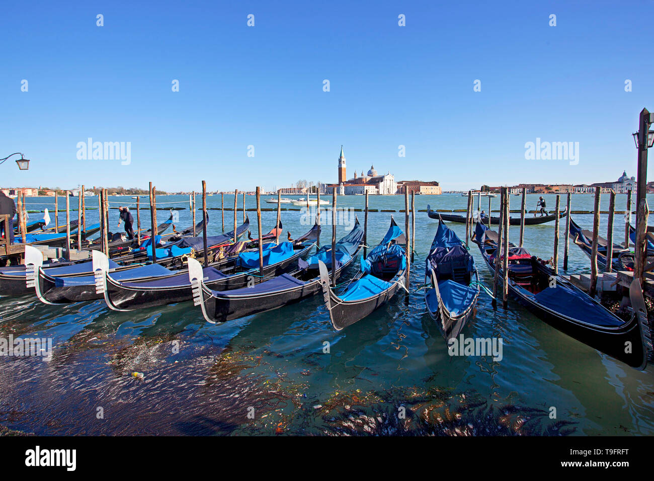 Venice city gondolas bridges hi-res stock photography and images - Alamy