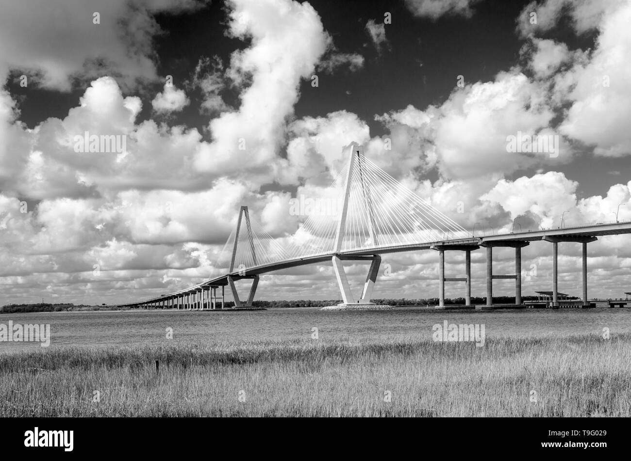 Cooper River Bridge, Charleston, South Carolina Stock Photo Alamy